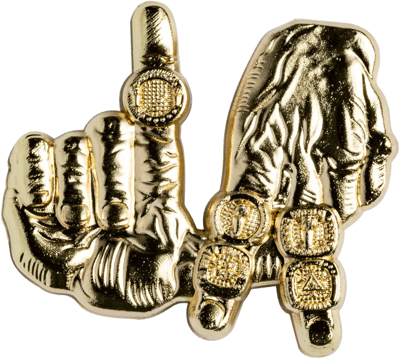 5 Rings Pin